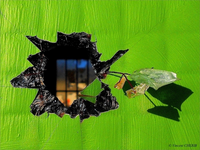 2019-04/1555193634_unx-106