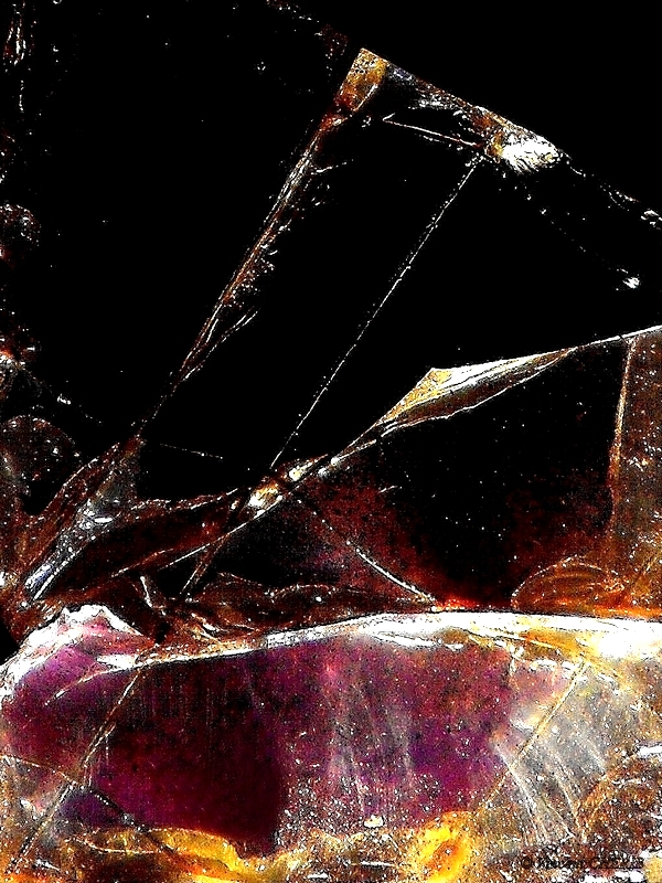 2019-04/1555194006_unx-139