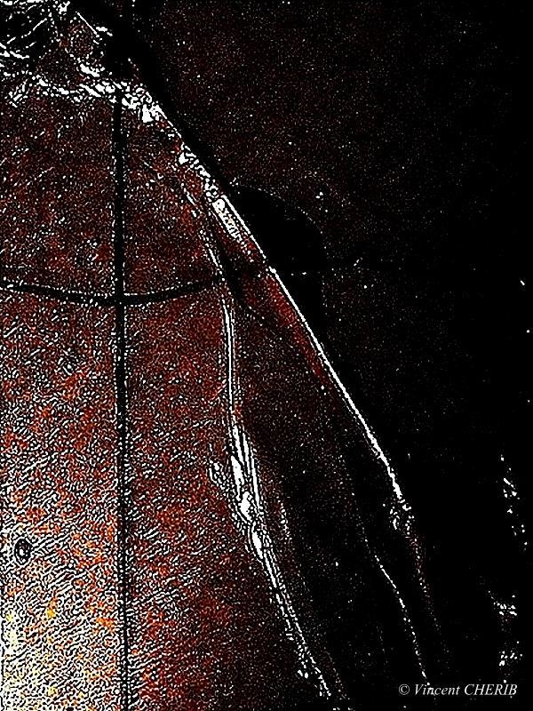 2022-07/1658872425_unx-245