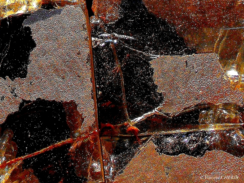 2022-07/1658872486_unx-235