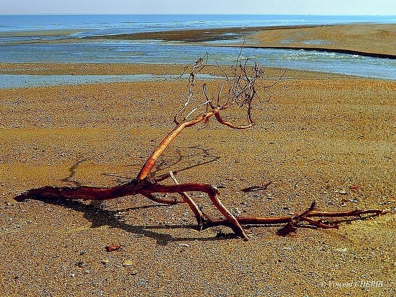 2022-08/eom-164a-eom-lgm-404