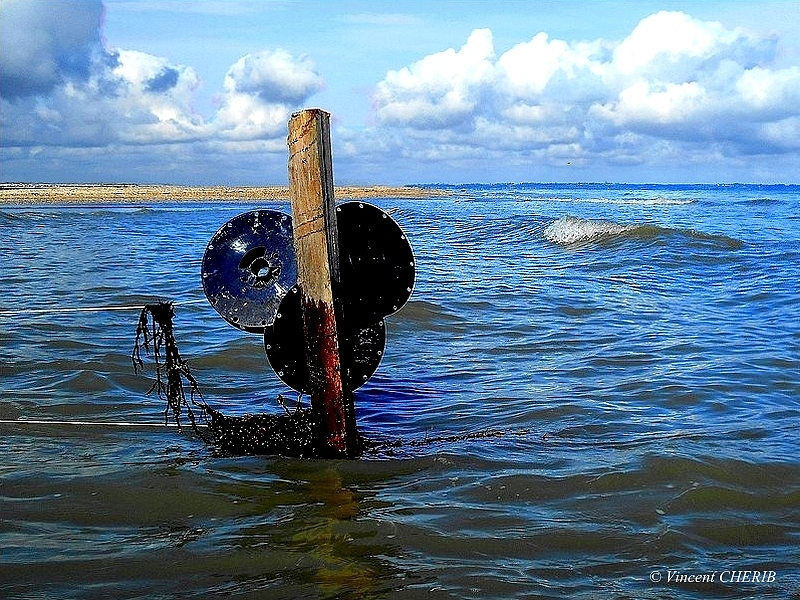 2022-08/eom-164d-eom-lgm-405