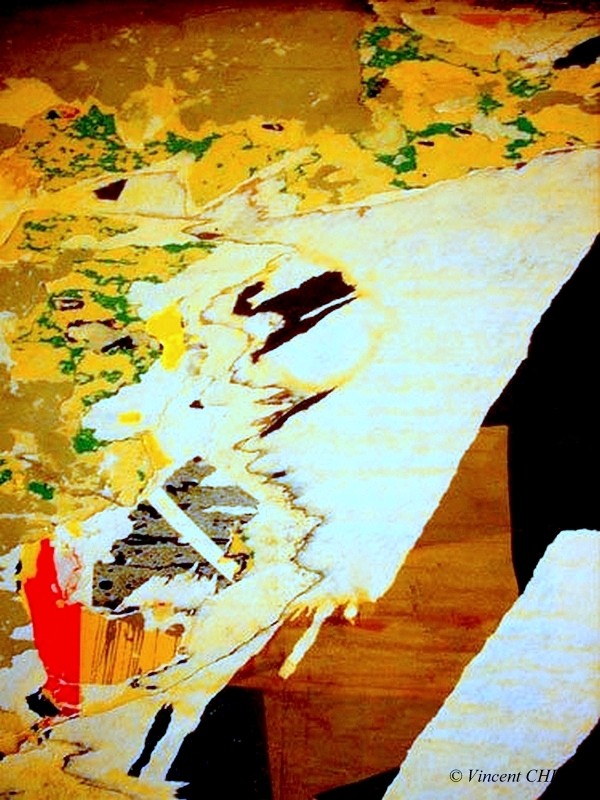 2025-11/frag-12-r-800-pp-ok