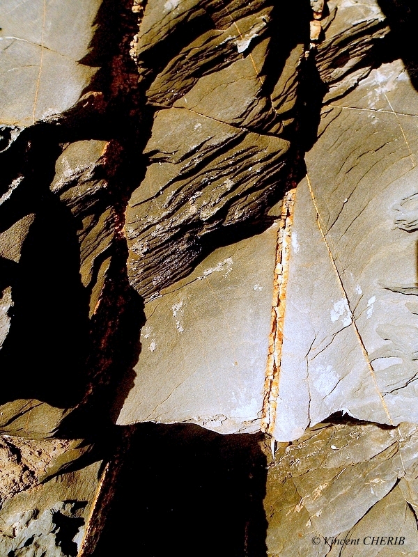 2025-12/1766944766_5-p