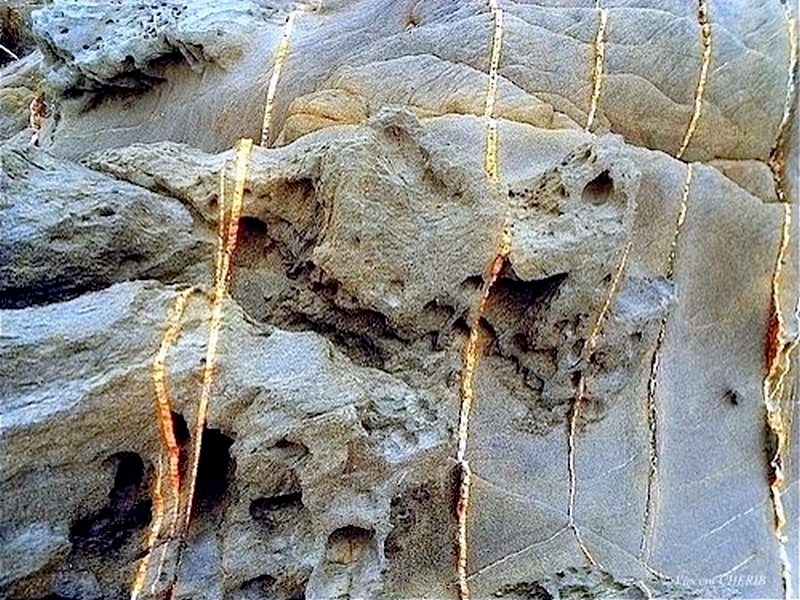 2025-12/1766944768_1-p