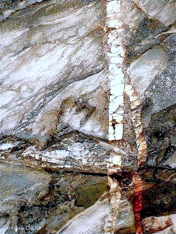 2025-12/1766944772_4-p