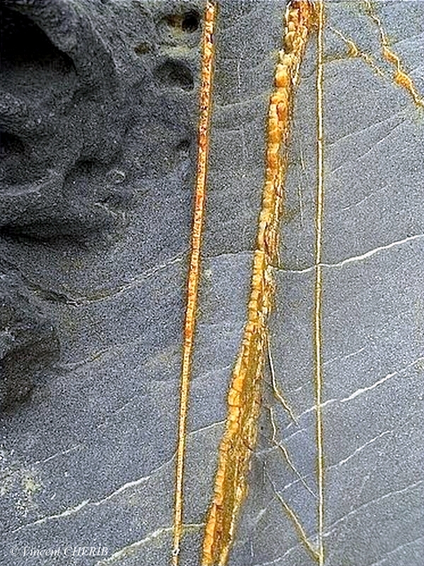 2025-12/1766944776_16-p