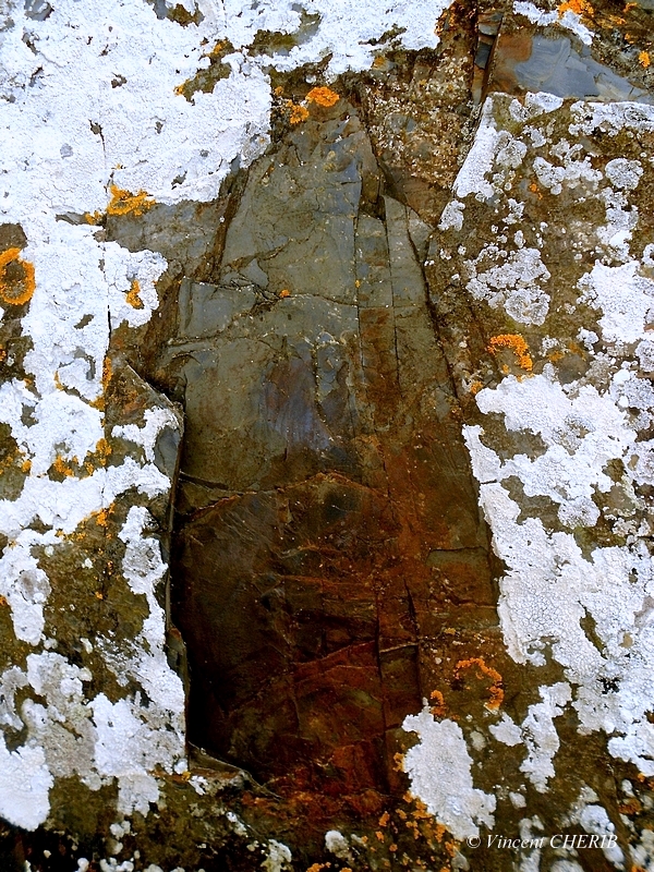 2025-12/1766944785_8-p