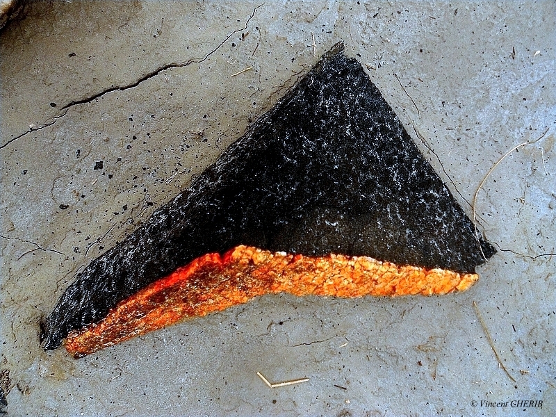 2025-12/1766944786_17-p