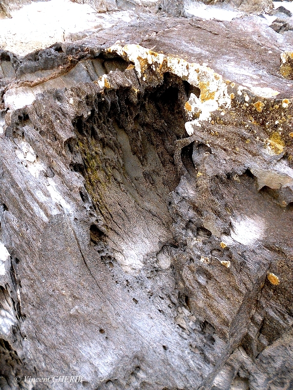 2025-12/1766944789_18-p