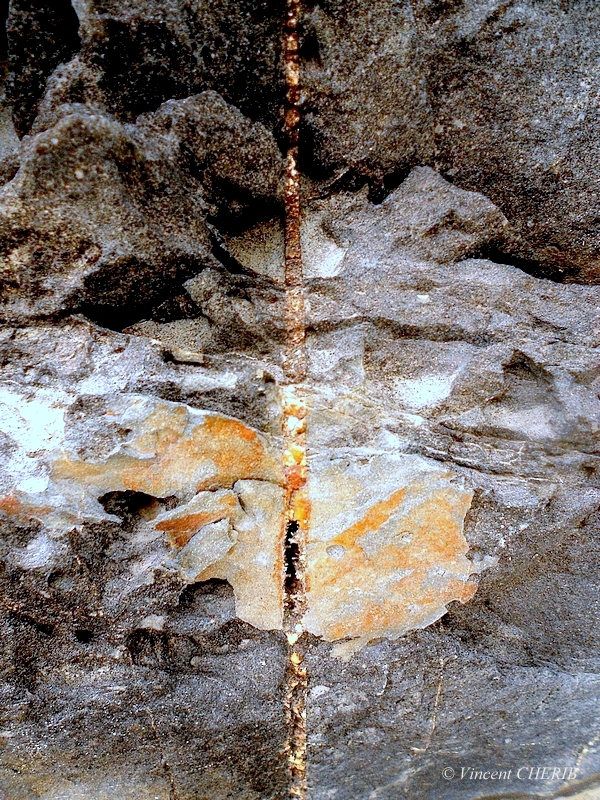 2025-12/1766944790_10-p