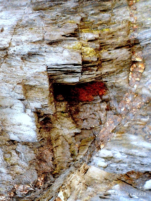 2025-12/1766944791_21-p