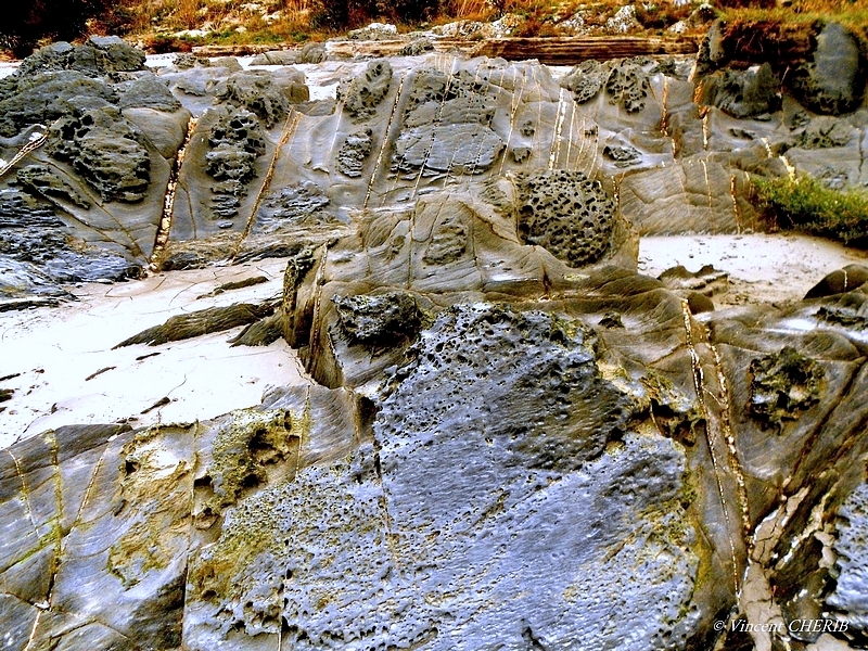 2025-12/1766944791_9-p