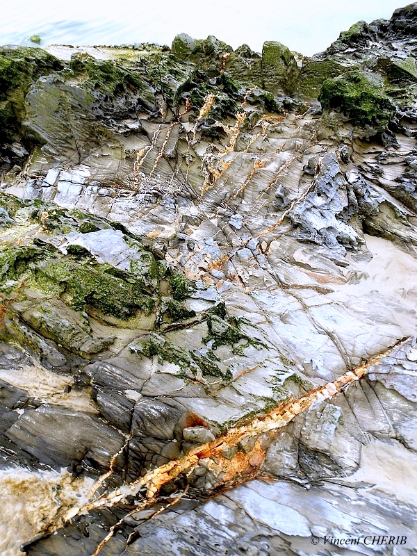 2025-12/1766944792_32-p