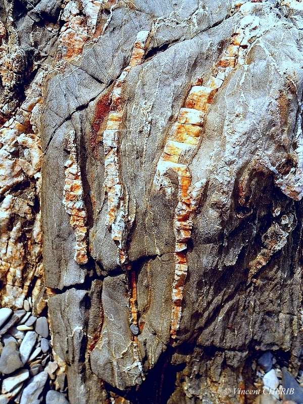 2025-12/1766944793_12-p