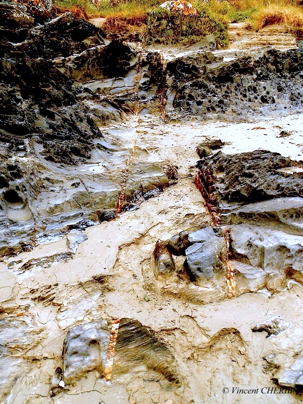 2025-12/1766944793_25-p