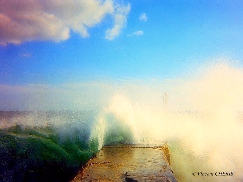 2026-01/1768501961_506404990-24271392282466652-966030093244107271-n-p